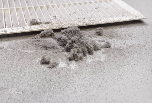 Best Air Duct Cleaning Near Me  in Whitfield, FL
